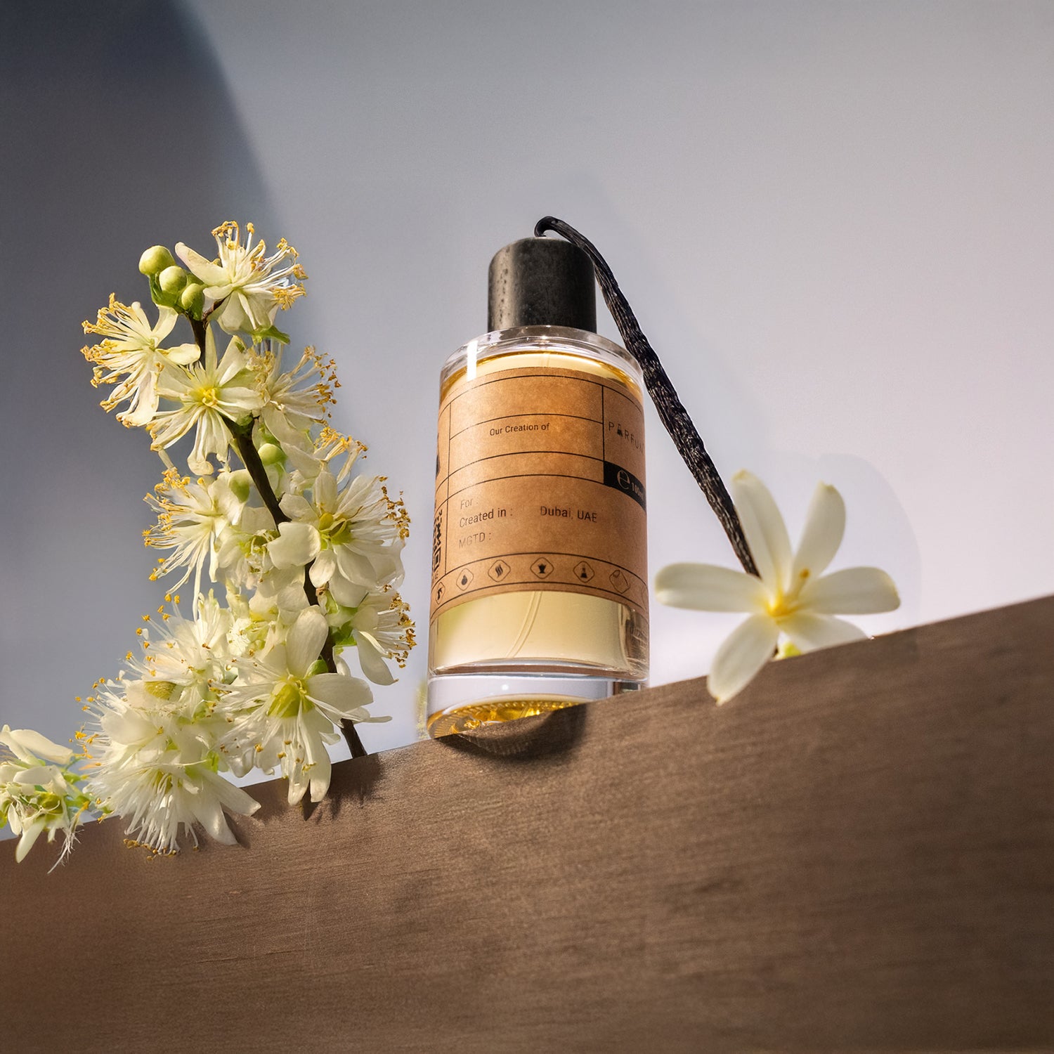 Our Creation of PDM's Pegasus