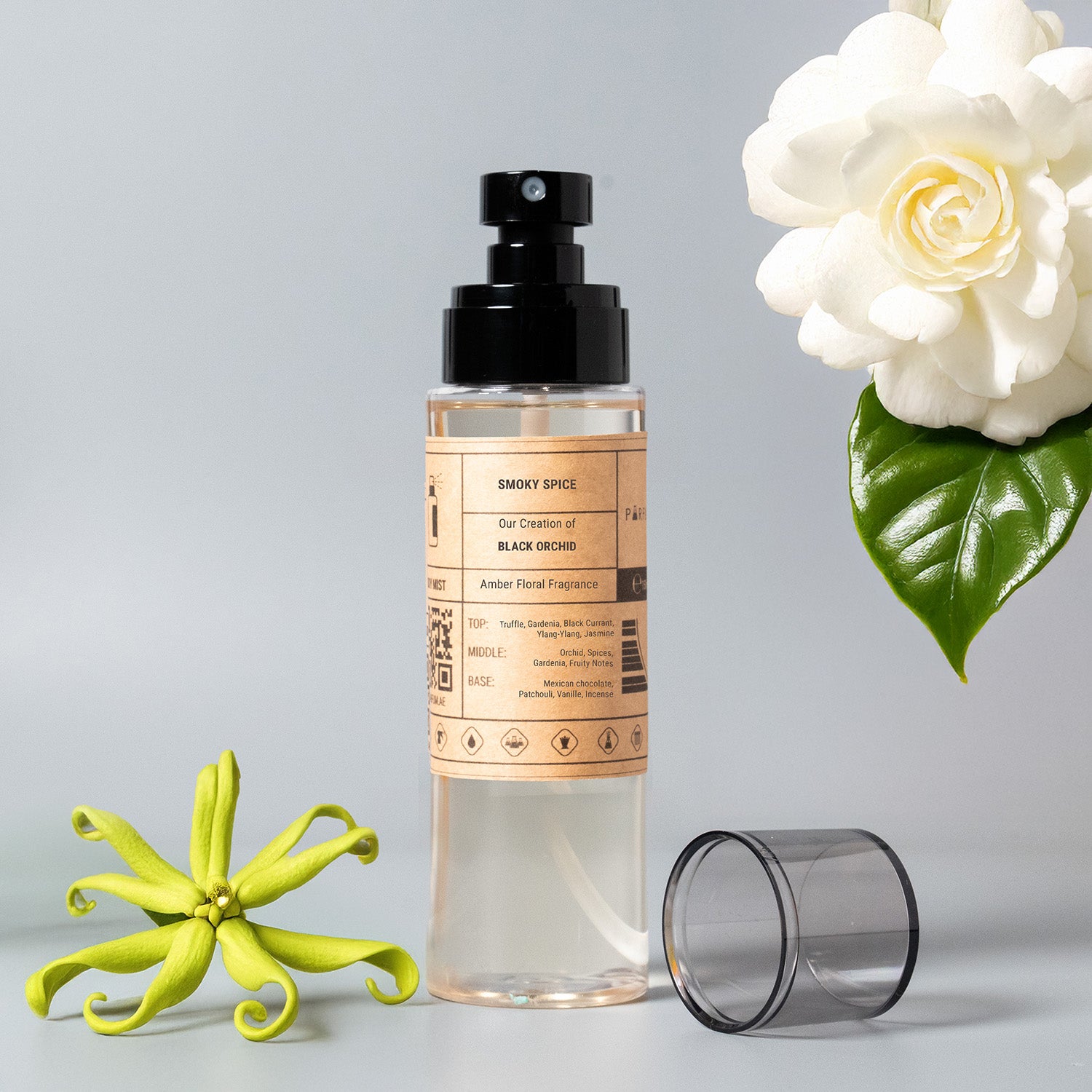 Our Creation of TF's Black Orchid