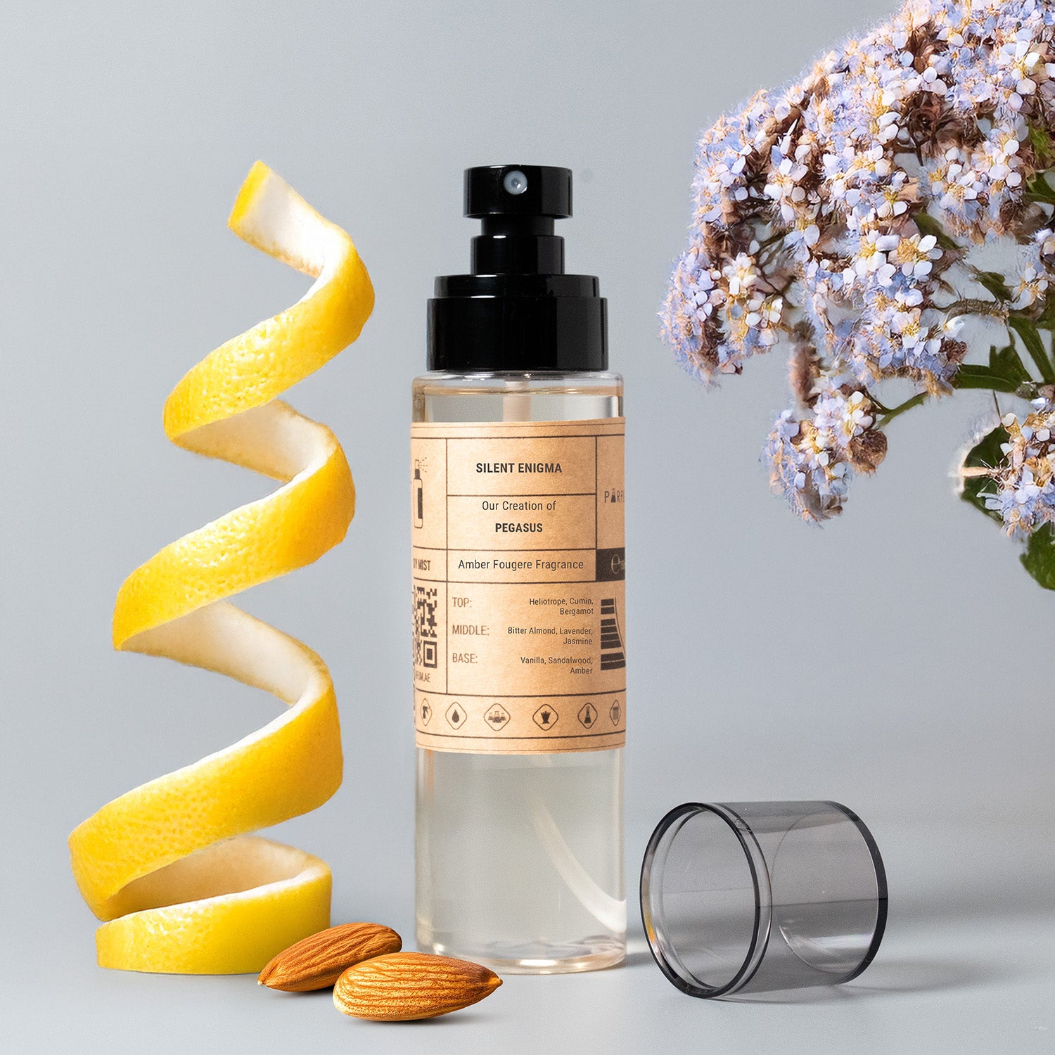 Our Creation of PDM's Pegasus