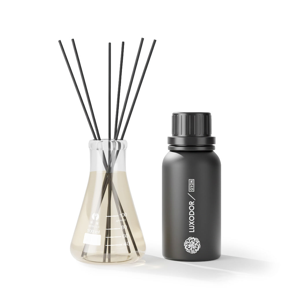Our Creation of Celine's Dans Paris