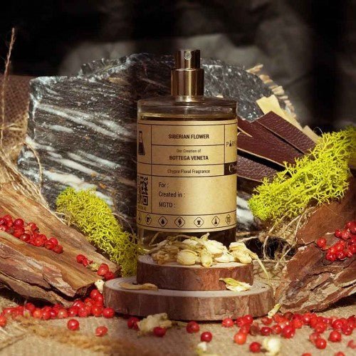 Our Creation of Bottega Veneta's Bottega Veneta